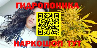 индика Краснодар