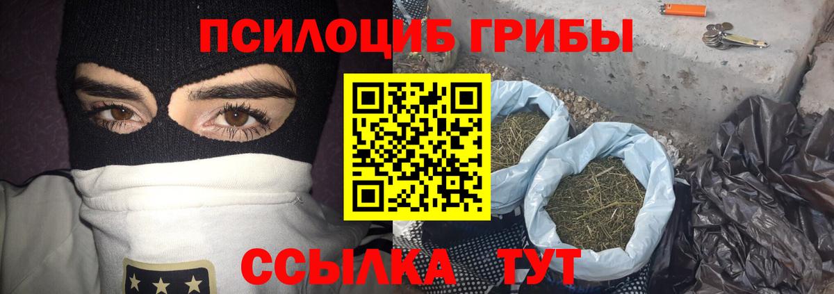 Галлюциногенные грибы мухоморы  Вход с VPN  Великий Устюг  Галлюциногенные грибы Cubensis 